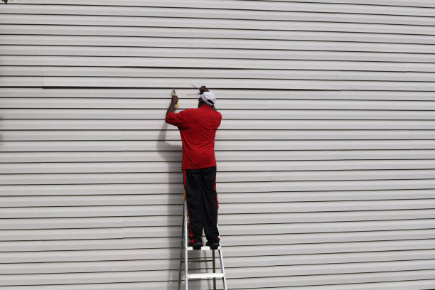 Best Siding Painting and Refinishing  in Lake Mathews, CA
