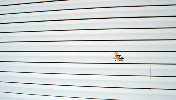  Lake Mathews, CA Siding Installation Pros