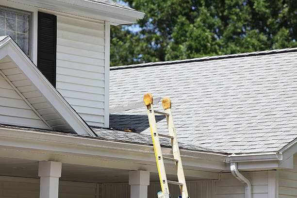 Best Wood Siding Installation  in Lake Mathews, CA